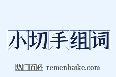 小切手组词是什么意思的图片